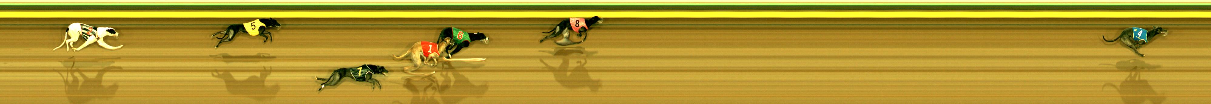 Race result finish photo